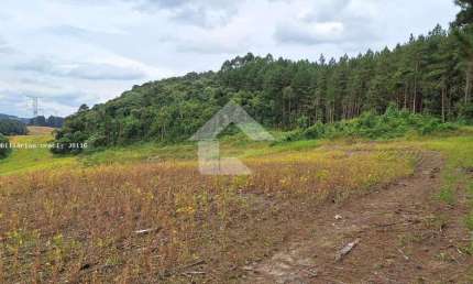 Terreno comercial à venda na Rua Do Forno, s/n, Centro, Campo Magro