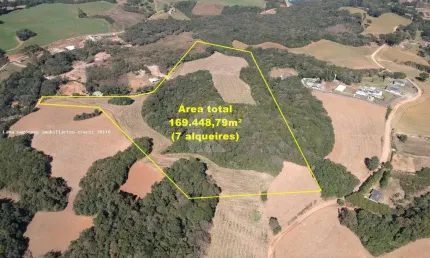 Terreno comercial à venda na Rua Ignácio Belinovski, Jardim Santa Nely, Campo Largo