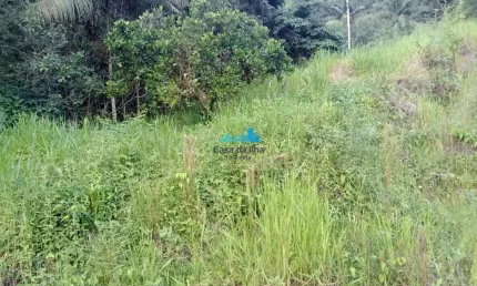Terreno à venda no Centro, Santo Amaro da Imperatriz  por R$ 800.000