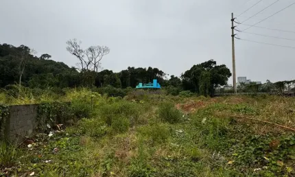Terreno à venda no campeche, florianópolis  por r$ 800.000
