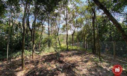Chácara com 3 dormitórios à venda, 8000 m² por R$ 1.100.000,00 - Soares - Brumadinho/MG