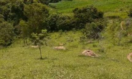Terreno à venda na Zona Rural, Carmópolis de Minas 