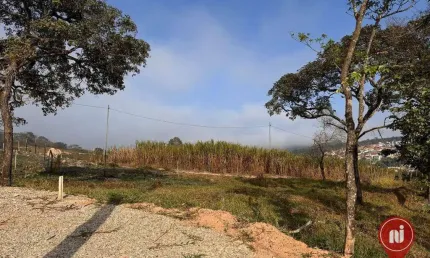 Terreno à venda, 454 m² por r$ 174.500,00 - ficus  - brumadinho/mg