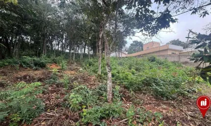 Terreno à venda, 1005 m² por R$ 220.000 - Condominio Quintas do Brumado - Brumadinho/Minas Gerais