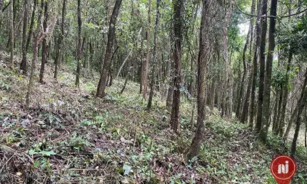 Terreno à venda, 1000 m² por R$ 200.000,00 - Casa Branca - Brumadinho/MG