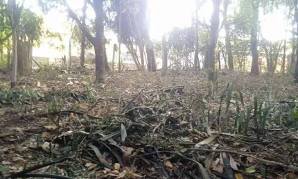 Terreno à venda, 360 m² por R$ 45.000,00 - Recreio Do Lago - São Joaquim de Bicas/MG