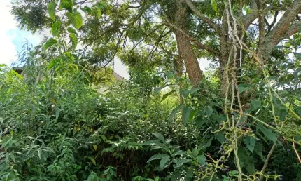 Terreno à venda no Jardim Mosteiro, São Roque 