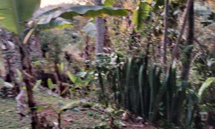 Chácara / sítio com 1 quarto para alugar no Taboão, São Roque 