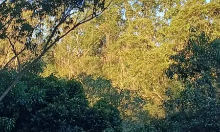 Terreno em condomínio fechado à venda no Gabriel Piza, São Roque 
