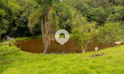Chácara / sítio com 4 quartos à venda na Br 116 Km 156, 156, Zona Rural, Mandirituba