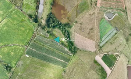Terreno à venda na amilton da silva amorim, 900, sanga funda, nova santa rita por r$ 7.000.000