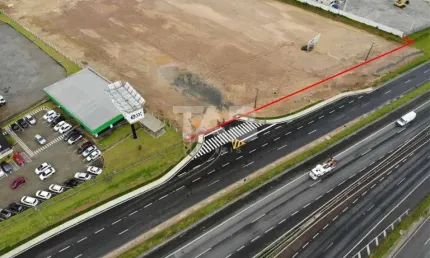 Terreno comercial para alugar na Br101, Santa Regina, Itajaí