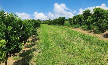 Fazenda / Sítios / Chácaras com 3 quartos à venda em Três Corações