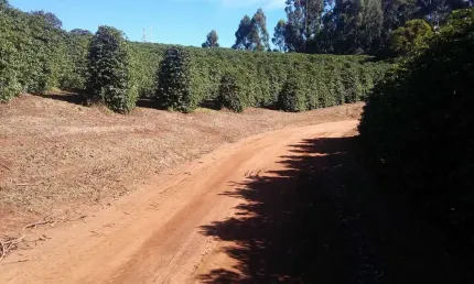Fazenda / Sítios / Chácaras com 3 quartos à venda em Lambari