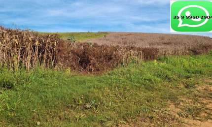 Fazenda / Sítios / Chácaras com 1 quarto à venda em São Sebastião Da Bela Vista