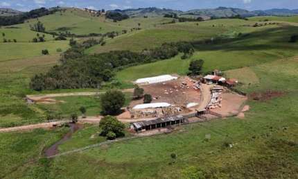 Fazenda / Sítios / Chácaras à venda em Senador José Bento