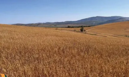 Fazenda à venda na Zona Rural 1, 002, Zona Rural, Andrelândia