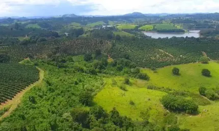 Fazenda / Sítios / Chácaras à venda em Poços De Caldas