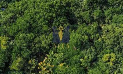 Casa com 4 quartos à venda em Ponta Grossa, Ubatuba 