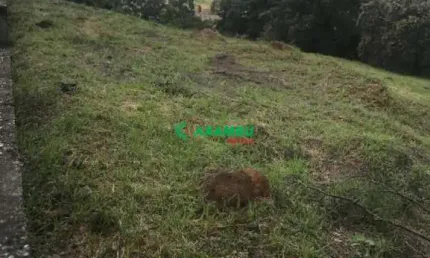 Terreno no vale azul - caxambu a venda com 1.820,00m2