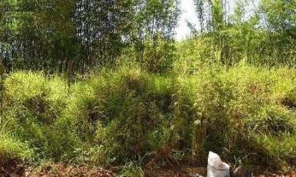 Terreno comercial à venda no Caxambu, Jundiaí  por R$ 1.500.000