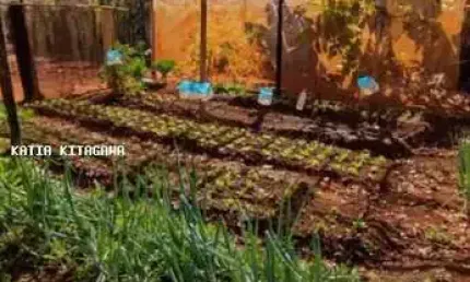 Chácara para venda em jardinópolis, campos elíseos, 2 dormitórios, 2 suítes, 1 banheiro