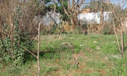 Terreno para Venda em Ribeirão Preto, Parque Residencial Cândido Portinari