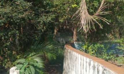 Chácara para Venda em Ribeirão Preto, Chácaras Pedro Corrêa de Carvalho