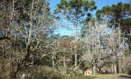 Terreno à venda, 9565 m² por R$ 4.000.000,00 - Jardim Belvedere - Campos do Jordão/SP