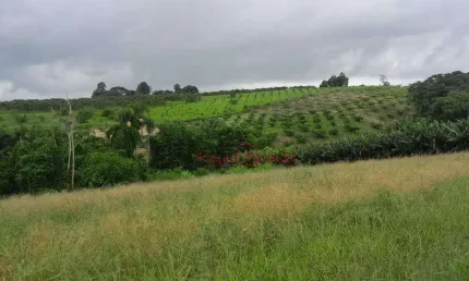 OPORTUNIDADE- Área à venda, 3 Alqueires  por R$ 1.300.000 - Ouro Fino - Santa Isabel/São Paulo