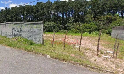 Oportunidade para seu negócio ao lado da rodovia via dutra- terreno para alugar, 1000 m² por r$ 7.000/mês - jardim vitória - arujá/sp
