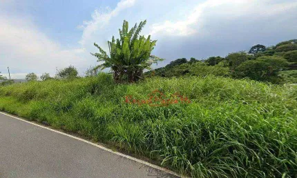 Terreno à venda, 393 m² por r$ 400.000,00 - perová - arujá/sp