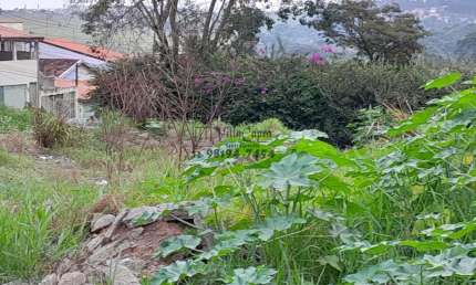 Terreno para Venda em São José dos Campos, Jardim San Rafael