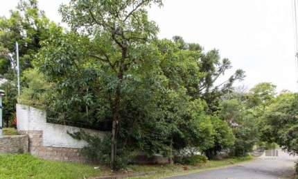 Terreno, 363.78 m², em Vila Conceição, em região elevada e livre de inundações