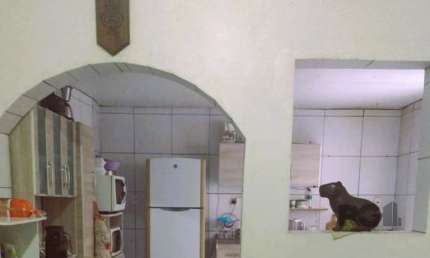 Apartamento 3 dormitórios à venda Medianeira Porto Alegre/RS