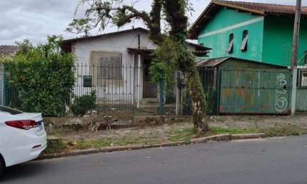 Casa 3 dormitórios à venda Vila João Pessoa Porto Alegre/RS