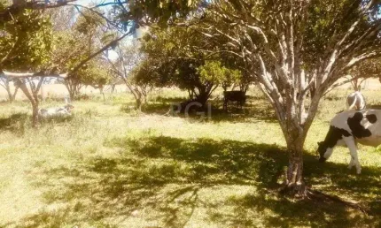 Terreno à venda na Rodovia BR-158, 200, Santa Helena, Cruz Alta