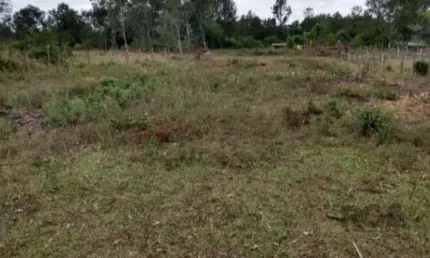Terreno à venda na Avenida Dos Pinheiros, 972, Parque Eldorado, Eldorado do Sul