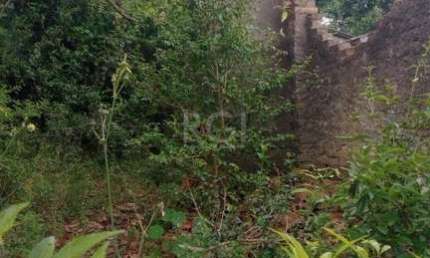 Terreno para Venda - 356.4m², 0 dormitórios, Coronel Aparício Borges