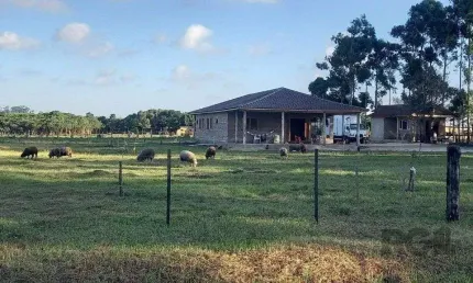 Chácara / sítio com 3 quartos à venda na Rua Cônego Pedro Jacobs, 1002, Caravagio, Osório