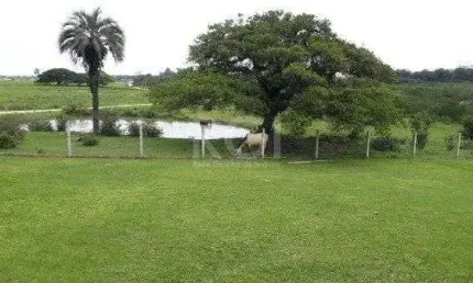 SÍTIO  COM 4 HECTARES NO BAIRRO ITAPUÃ EM VIAMÃO/RS