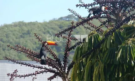 Freguesia (Jacarepaguá) | Apartamento 3 quartos, sendo 2 suites
