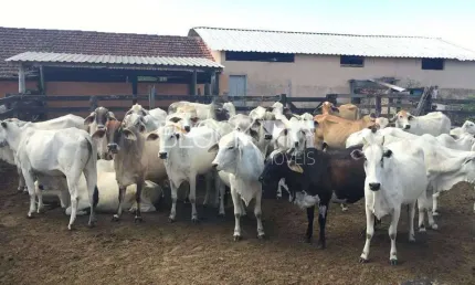Terreno à venda na Estrada Municipal, --, Centro, Araruama
