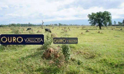 Terreno comercial à venda na Rodovia Presidente Dutra, Moreira César, Pindamonhangaba