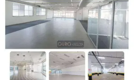 Prédio para alugar na Avenida Santa Catarina, Vila Santa Catarina, São Paulo