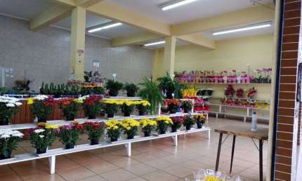Sala comercial com 2 salas à venda na Avenida Francisco Falconi, Jardim Avelino, São Paulo