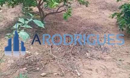 Terreno Comercial de 5.850m² à Venda em Periperi, Salvador-BA: Oportunidade Única!
