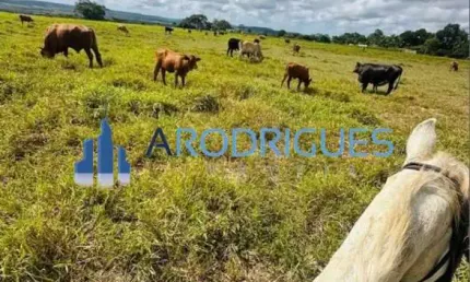 Fazenda à venda em Teodoro Sampaio-BA: 349.200,00 m² de área no bairro