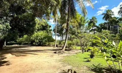 Sítio / Chácara para Venda em Camaçari, Monte Gordo (Monte Gordo), 10 vagas