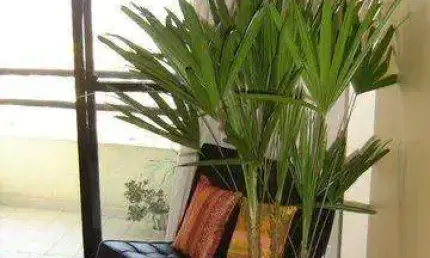 Apartamento para Venda em São Paulo, Vila Anglo Brasileira, 2 dormitórios, 1 suíte, 2 banheiros, 2 vagas